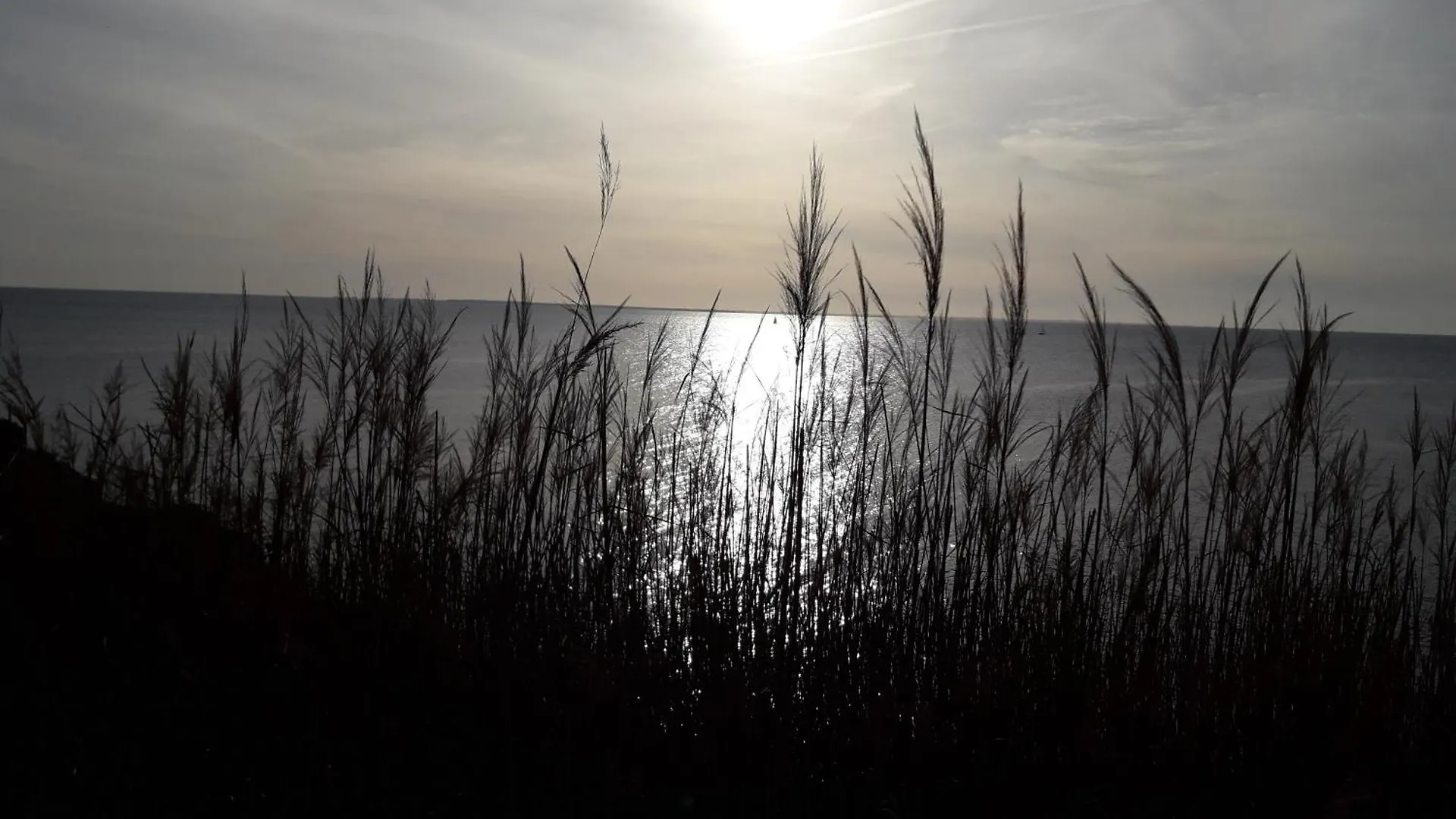 Au Phare Breton - Arzon - Port Du Crouesty Villa