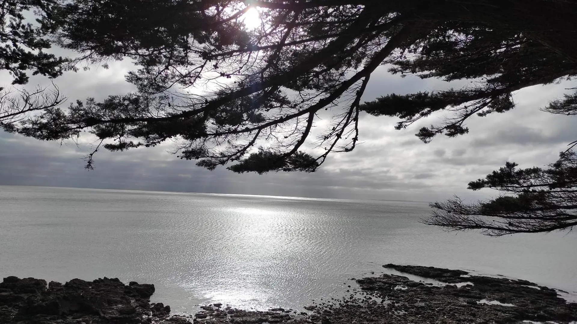Au Phare Breton - Arzon - Port Du Crouesty别墅 法国